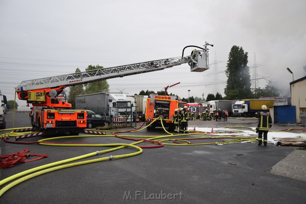 Feuer 3 Rheinkassel Feldkasseler Weg P1005.JPG - Miklos Laubert
